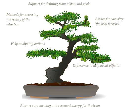 Kanban and lean consulting & coaching helps achieve the elegance and balance of a bonsai tree