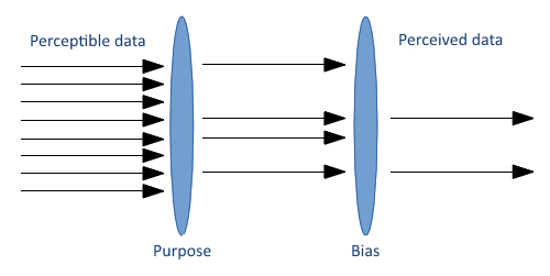 Perceivable data is filtered by purpose and by bias